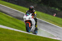 PJ-Motorsport-Photography-2020;anglesey;brands-hatch;cadwell-park;croft;donington-park;enduro-digital-images;event-digital-images;eventdigitalimages;mallory;no-limits;oulton-park;peter-wileman-photography;racing-digital-images;silverstone;snetterton;trackday-digital-images;trackday-photos;vmcc-banbury-run;welsh-2-day-enduro